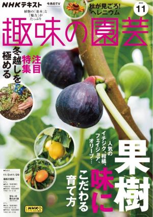 ＮＨＫ 趣味の園芸 2024年11月号