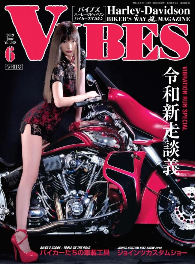 VIBESバイブズ 2019年6月号 マガストア