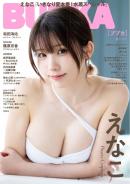 BUBKA