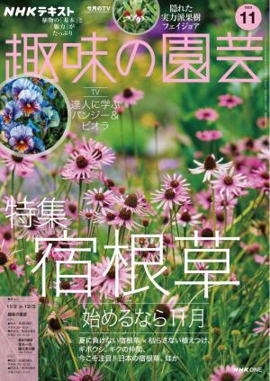 ＮＨＫ 趣味の園芸 2025年11月号