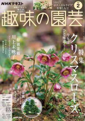 ＮＨＫ 趣味の園芸 2026年2月号