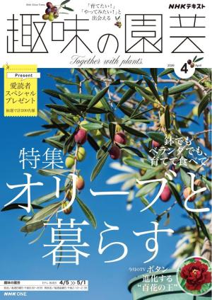 ＮＨＫ 趣味の園芸 2026年4月号