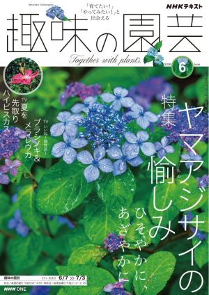 ＮＨＫ 趣味の園芸 2026年6月号