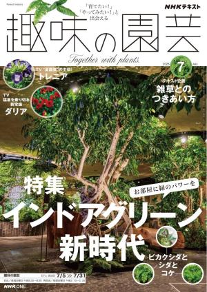ＮＨＫ 趣味の園芸 2026年7月号