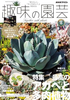 ＮＨＫ 趣味の園芸 2026年8月号