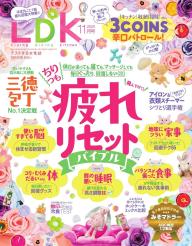 ldk 雑誌 トップ アイロン