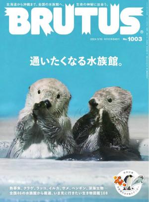 BRUTUS(ブルータス） 2023年 5月15日号 No.984 [居住空間学2023