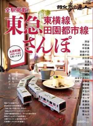 田園 都市 オファー 線 雑誌