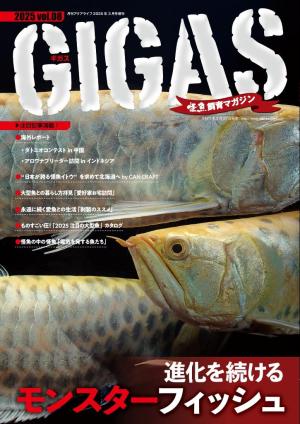 怪魚飼育マガジン GIGAS
